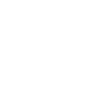 IMZ Holding